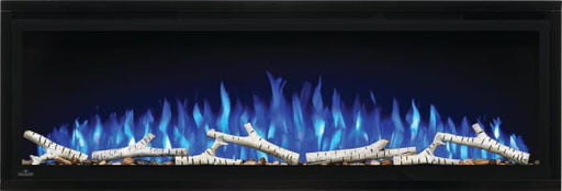 Napoleon Electric Fireplace Napoleon Entice™ 50 Series Wall Hanging Electric Fireplace